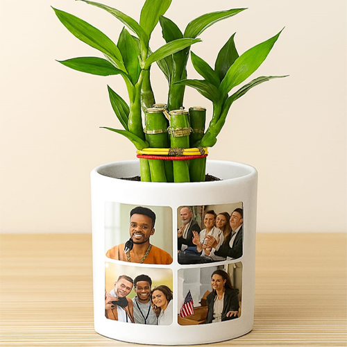 Pen Holder